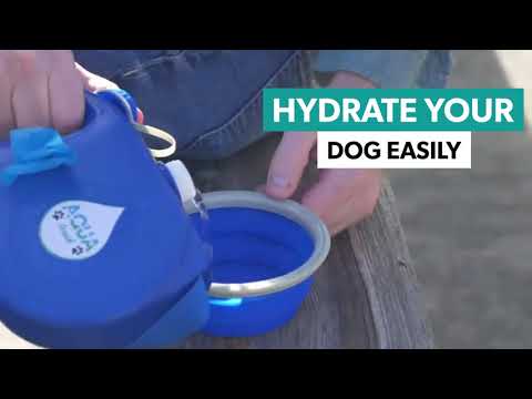 Aqua Leash multi function Dog Leash Built-in Water Bottle Collapsible Bow Waste Bag Dispenser nonretractable Dog Leash