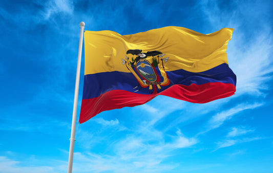 Large Ecuador Flag Heavy Duty Outdoor La Tricolor Ecuadorian 90 X 150 CM - 3ft x 5ft - Homeware Discounts