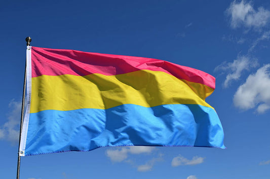 Large Pansexual Flag Heavy Duty Outdoor 90 X 150 CM - 3ft x 5ft - Homeware Discounts