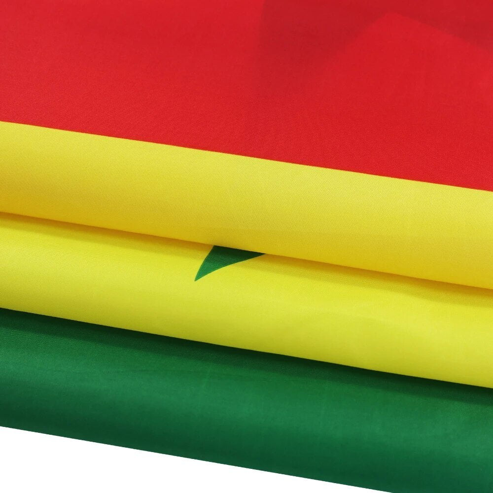 Large Senegal Flag Heavy Duty Outdoor drapeau du Sénégal 90 X 150 CM - 3ft x 5ft - Homeware Discounts