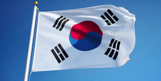 Large South Korea Flag Heavy Duty Outdoor 90 X 150 CM - 3ft x 5ft - Homeware Discounts