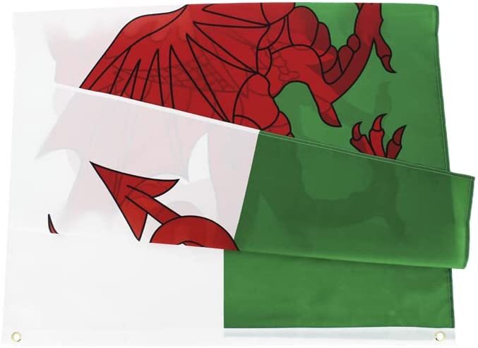 Large Wales Welsh Flag Heavy Duty Outdoor 90 X 150 CM - 3ft x 5ft - Homeware Discounts