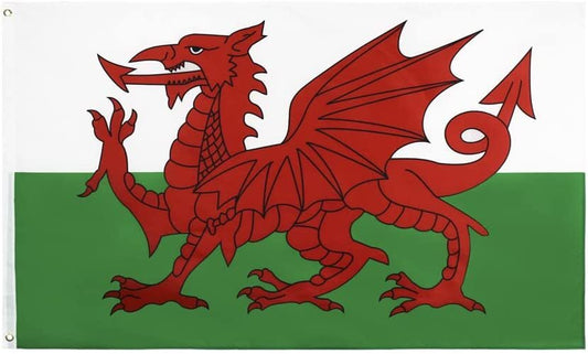 Large Wales Welsh Flag Heavy Duty Outdoor 90 X 150 CM - 3ft x 5ft - Homeware Discounts