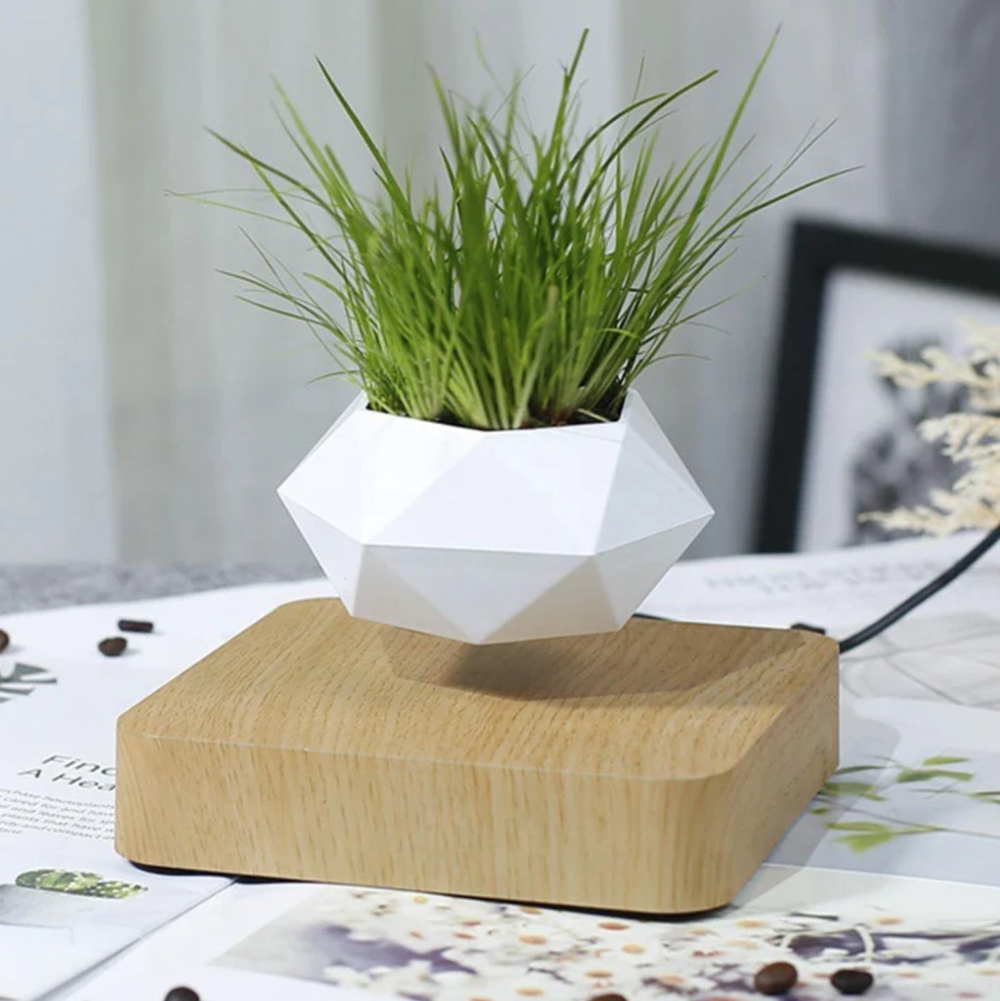 Levitating Flower Pot Floating Bonsai Plant Desk Decor Indoor Floating Planter - Homeware Discounts