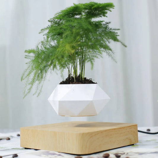 Levitating Flower Pot Floating Bonsai Plant Desk Decor Indoor Floating Planter - Homeware Discounts