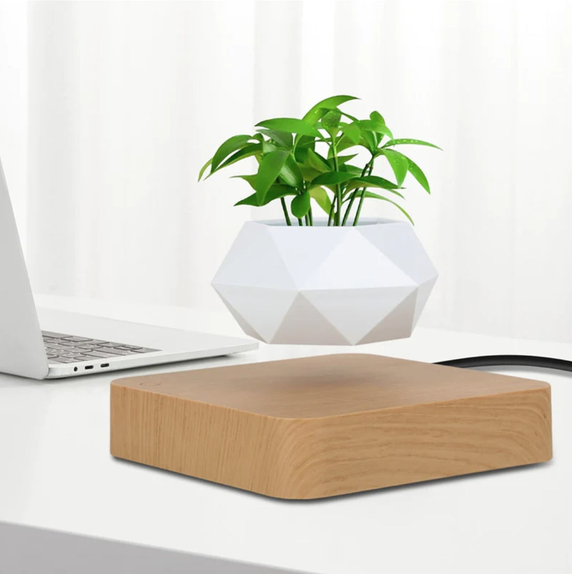 Levitating Flower Pot Floating Bonsai Plant Desk Decor Indoor Floating Planter - Homeware Discounts