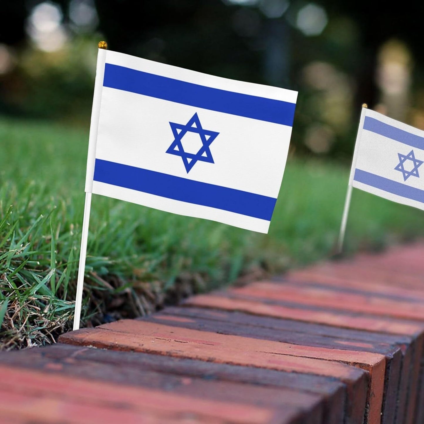 8 Pack - Mini Israel Israeli Flag Stick Star of David Handheld Flags 21cm x 14cm - Homeware Discounts