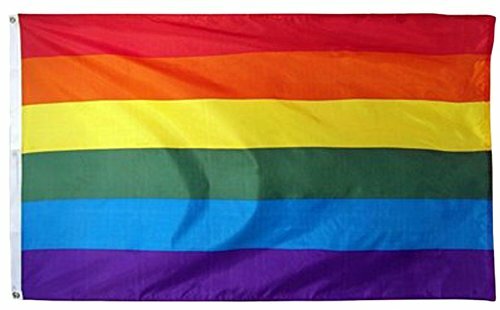 Rainbow Pride Flag Gay Lesbian LGBT Mardi Gras Party Banner Outdoor 90 x 150 CM - Homeware Discounts