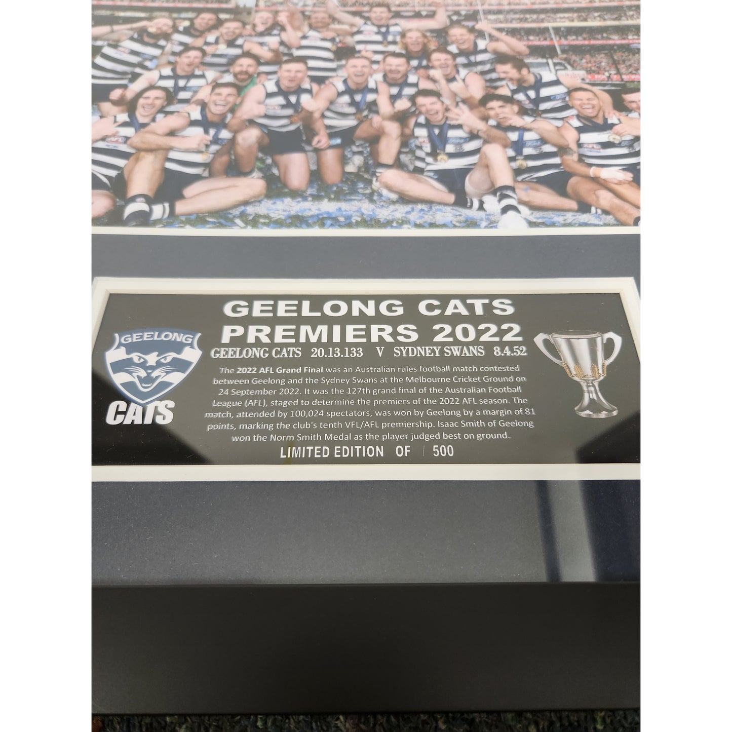 2022 Premiers Geelong Cats 86CM x 56CM Team Post Wooden Frame - Homeware Discounts