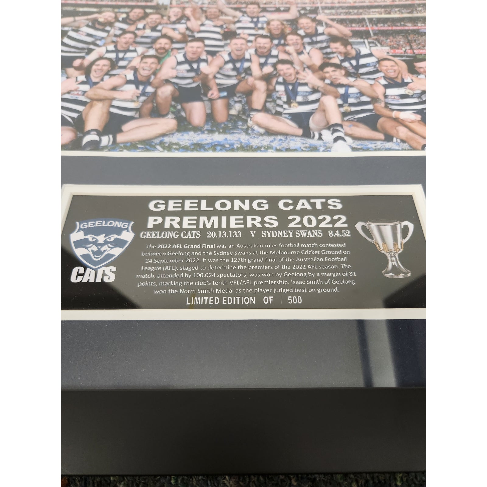 2022 Premiers Geelong Cats 86CM x 56CM Team Post Wooden Frame - Homeware Discounts