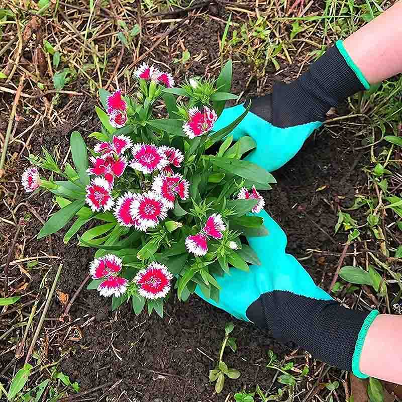 Garden Gloves with Claws