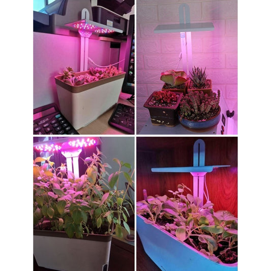 Hydroponics Garden Plant 12 Pods Indoor Growing System Vegetable Growing Vegetables Plant Growth Garden Planter - Homeware Discounts
